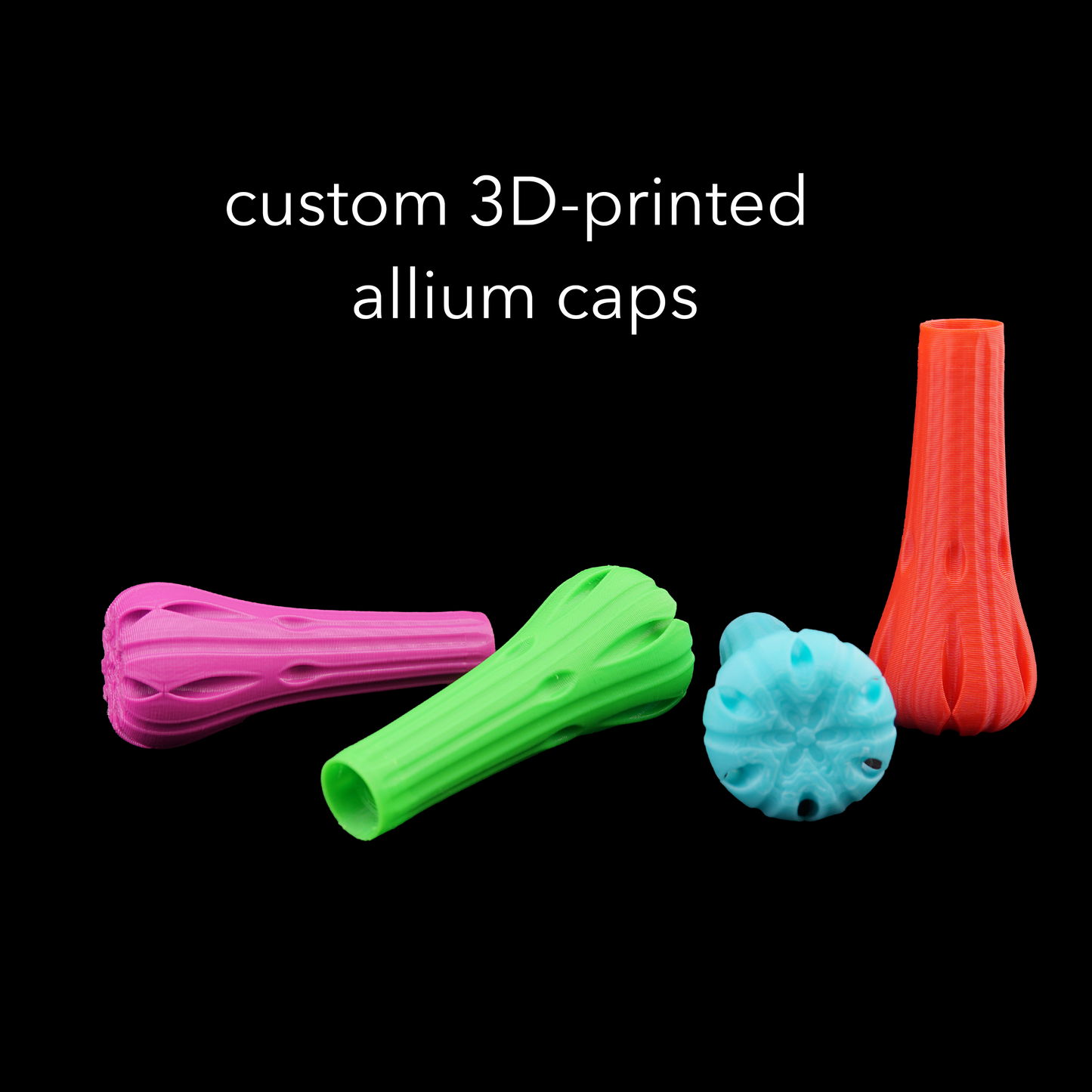 allium cap