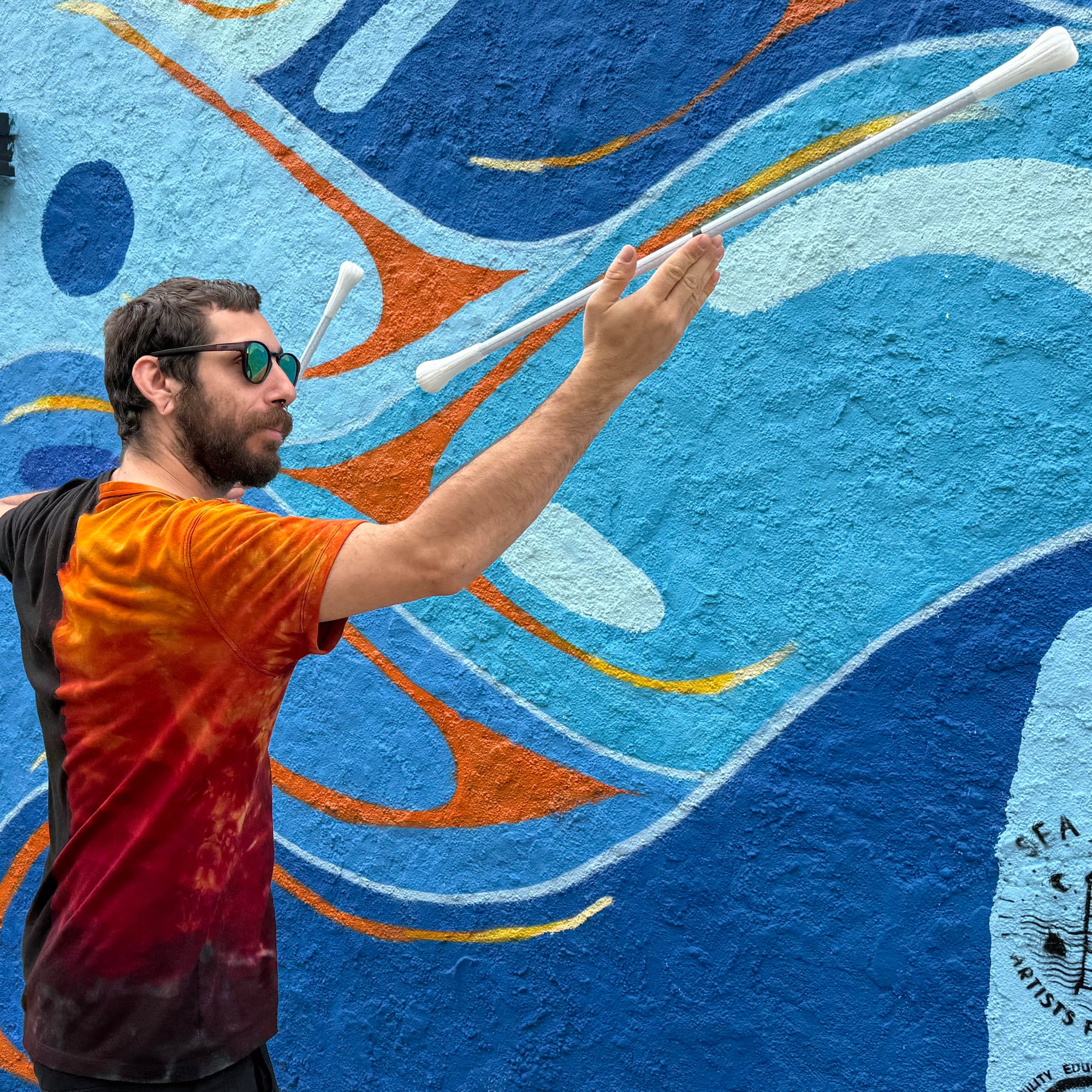 allium composite baton