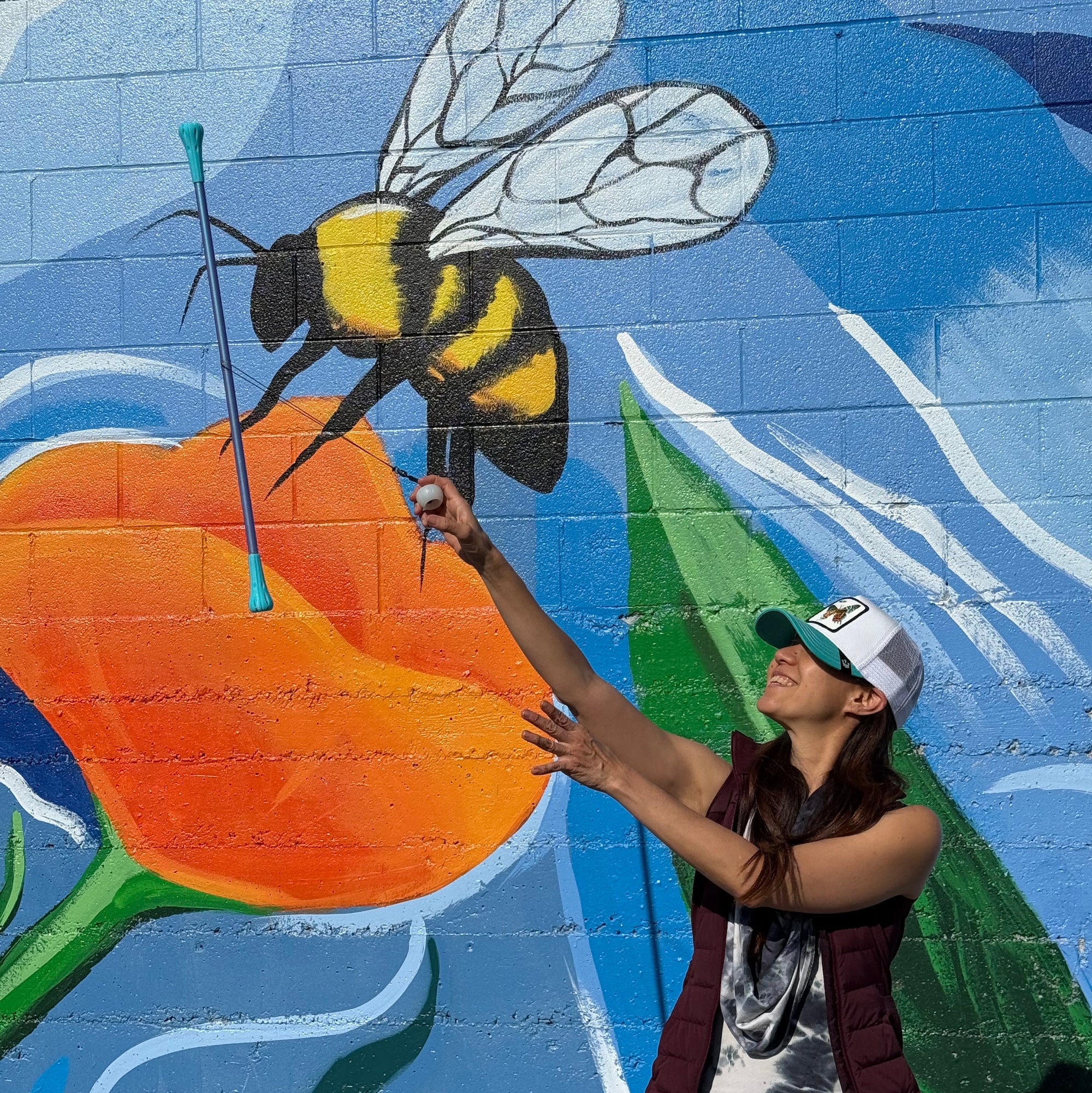 allium composite leviwand