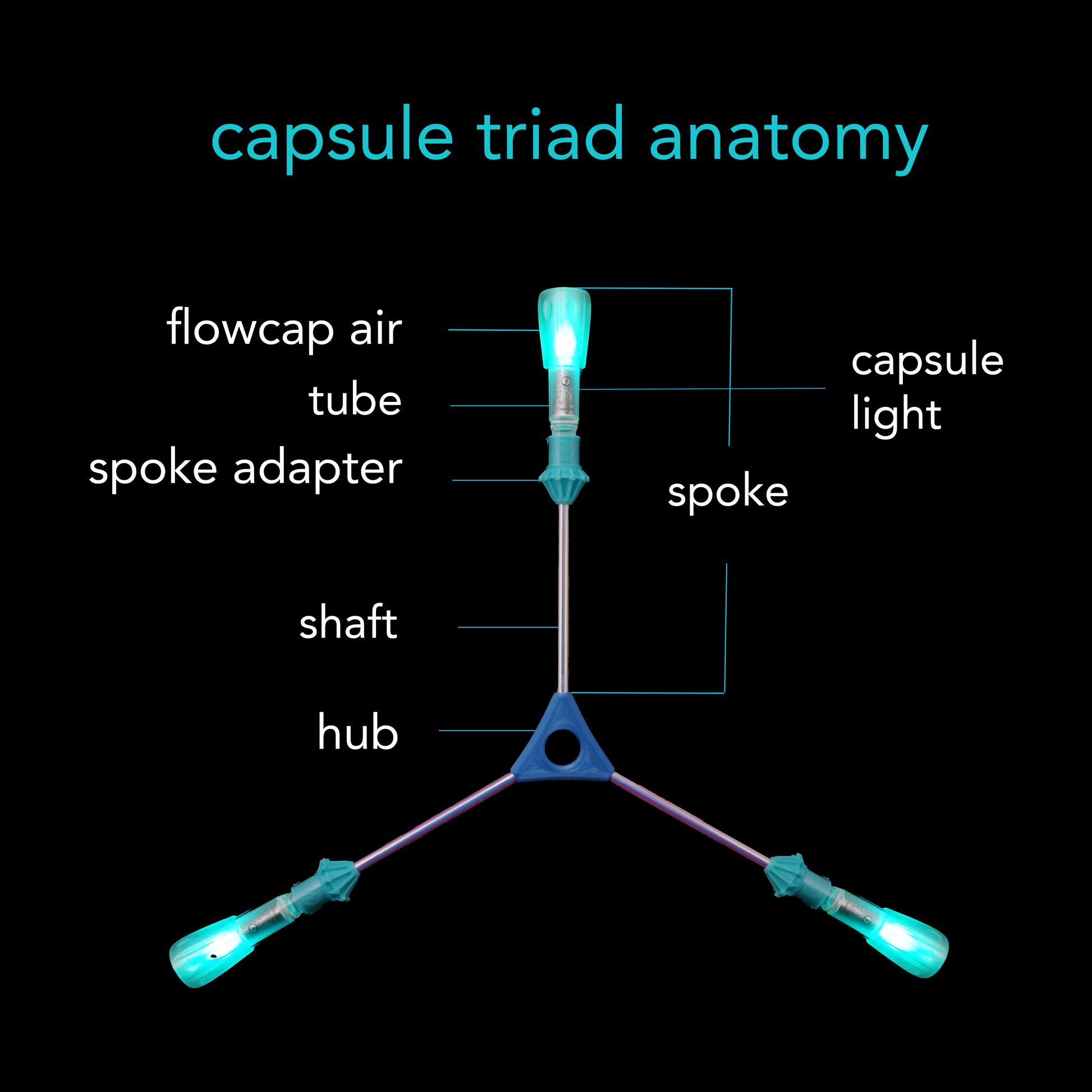 LED triads :: capsule