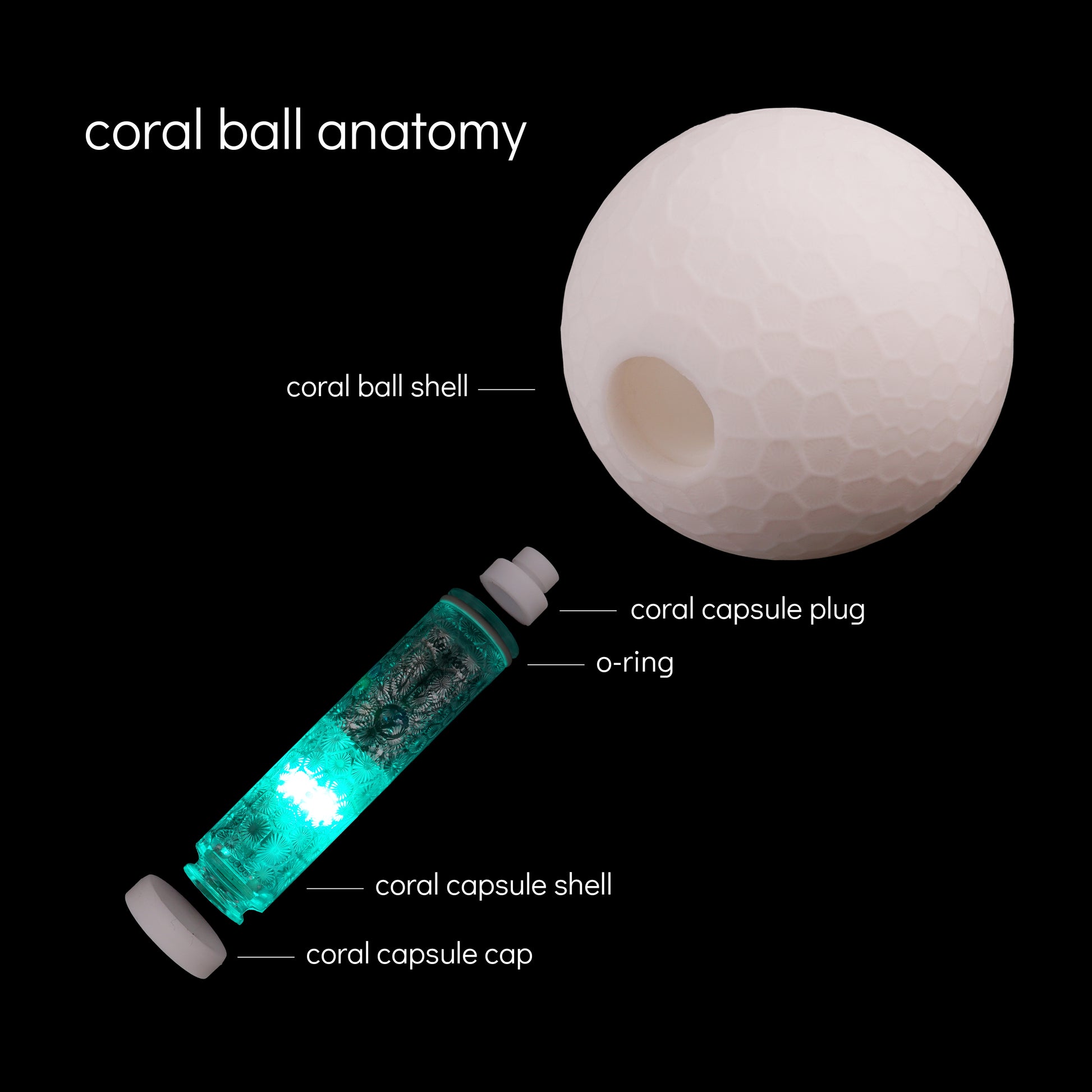 coral ball
