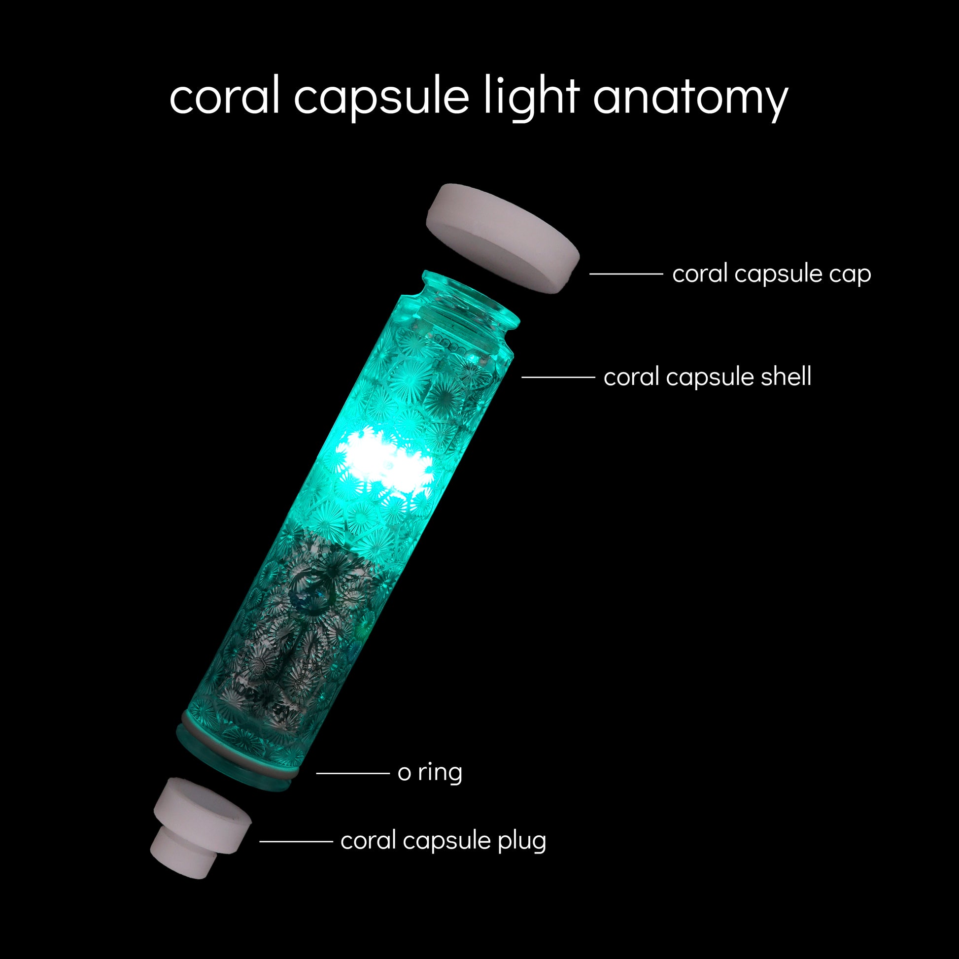 coral capsule cap