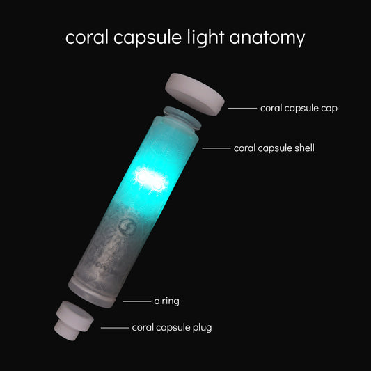 capsule light with coral shell and how the parts come together