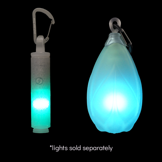capsule 2.C loop