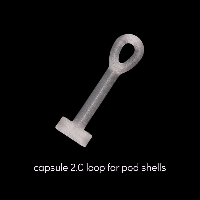 capsule 2.C loop