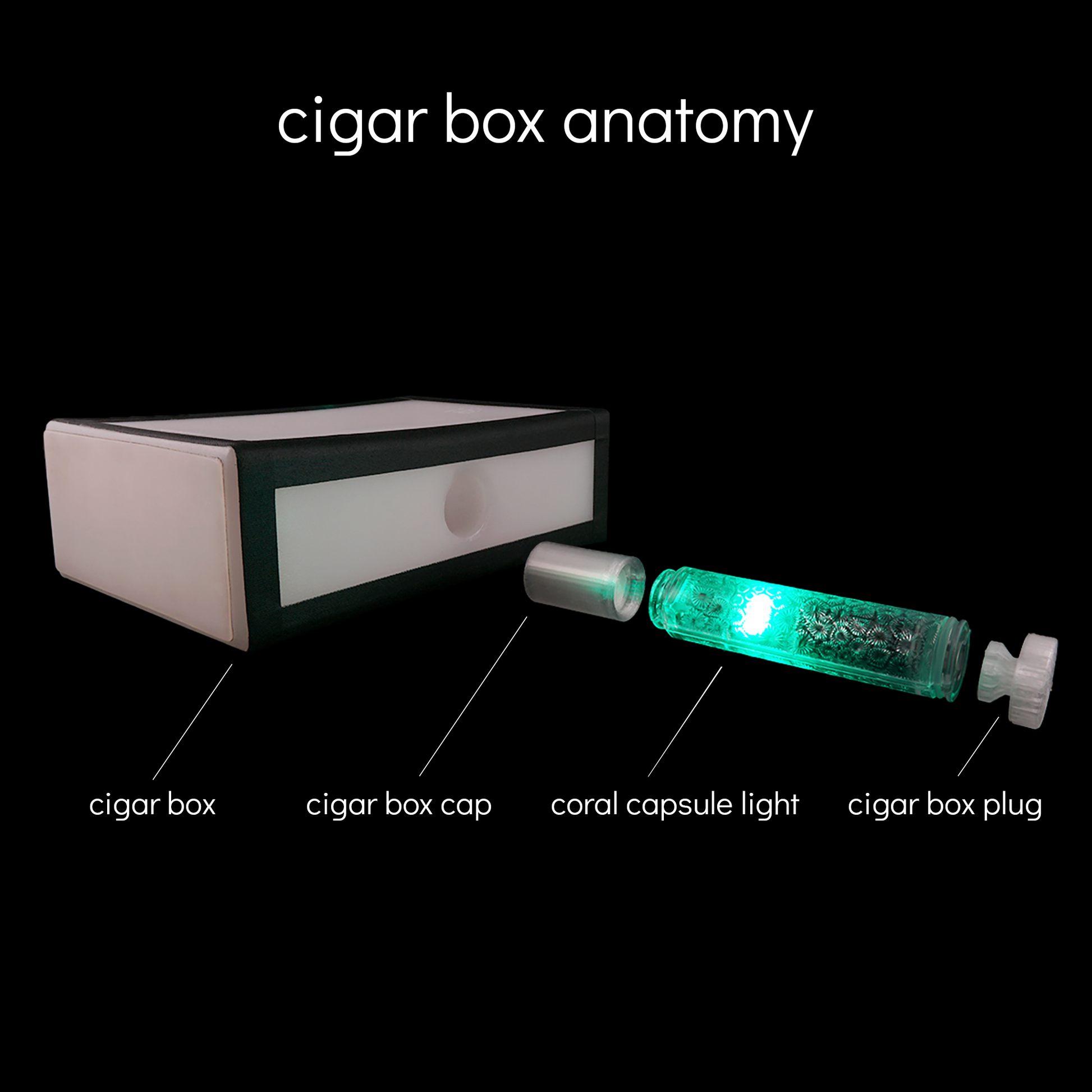 LED cigar box