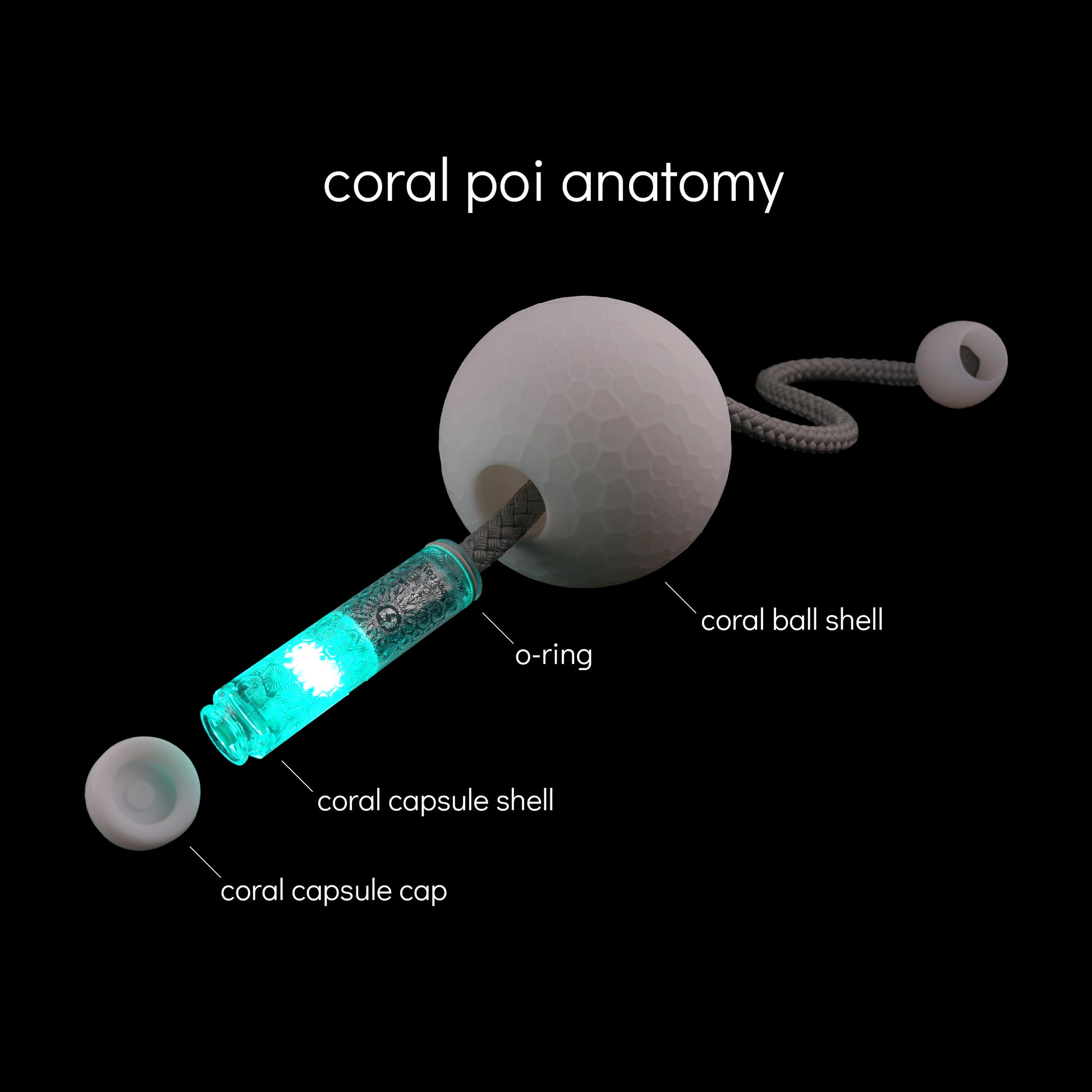 coral poi
