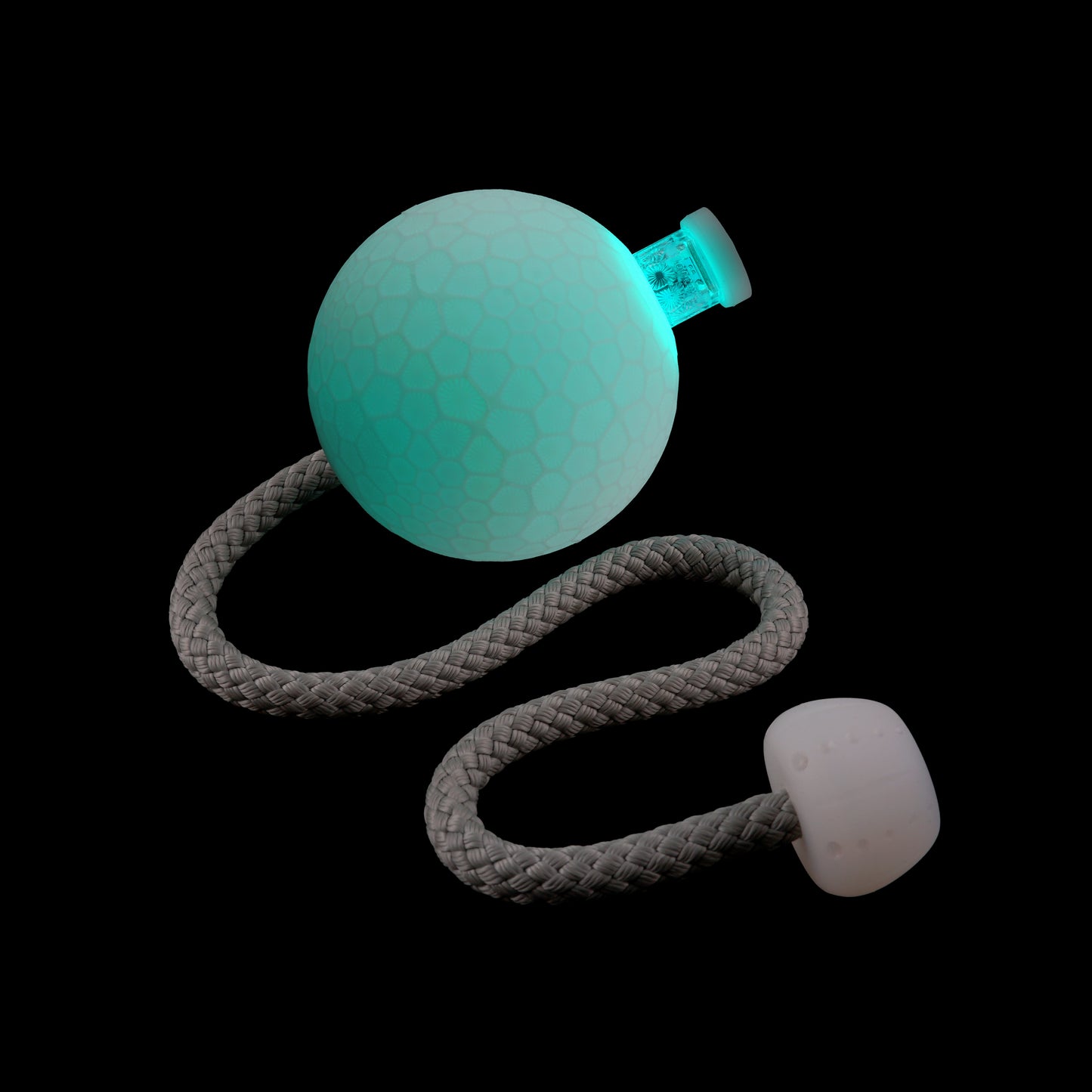 coral poi