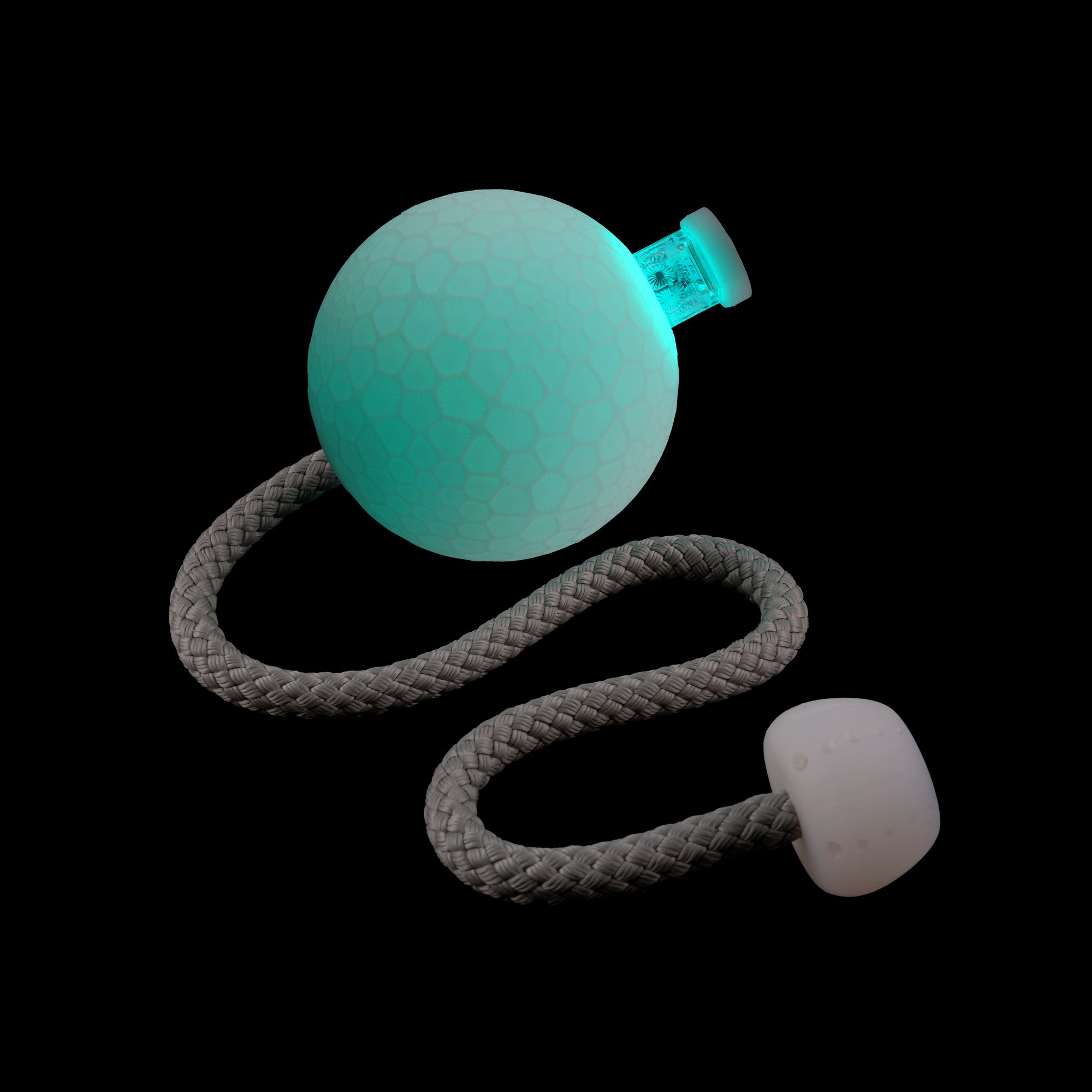 coral poi