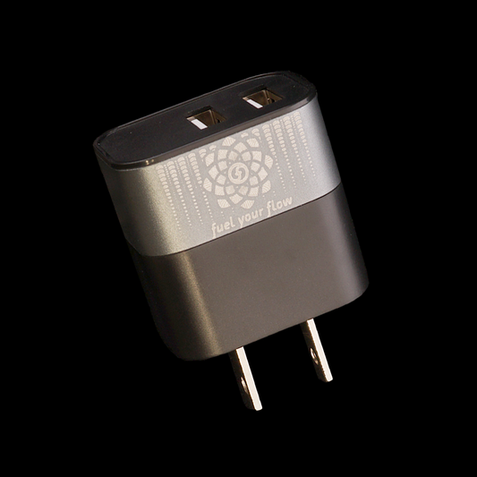 dual USB wall adaptor