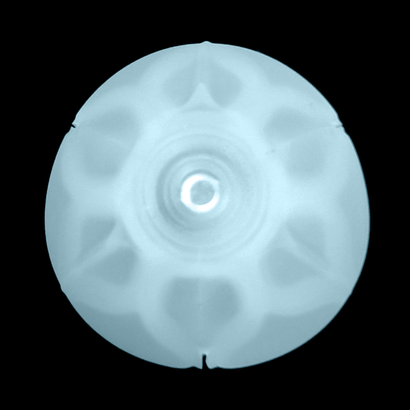 pod shell