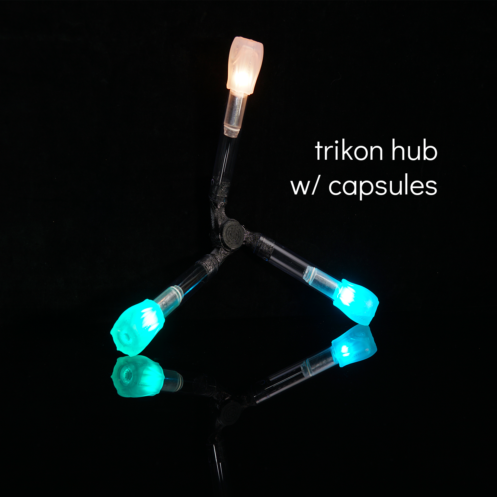 trikon dragon staff: capsules
