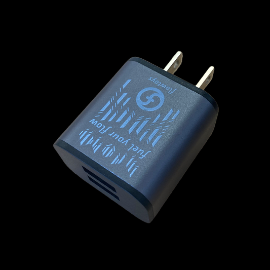 dual USB wall adaptor